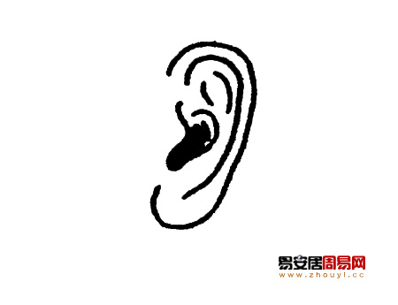 营养质耳朵面相图解