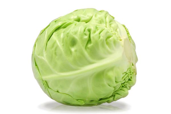梦见圆白菜