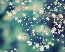灵犀游戏名字:有气质的游戏名字——旧梦颜