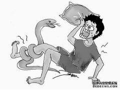 梦见被蛇咬