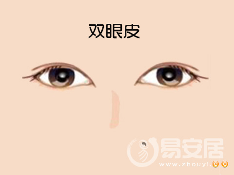 双眼皮