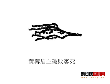 黄薄眉面相图解