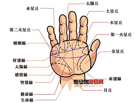 手相三大主线