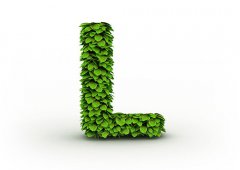 灵犀英文起名：L开头的女生英文名字大全