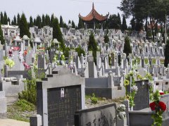 梦见好多坟