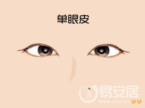 单眼皮