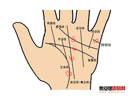 螺旋纹讲解图片