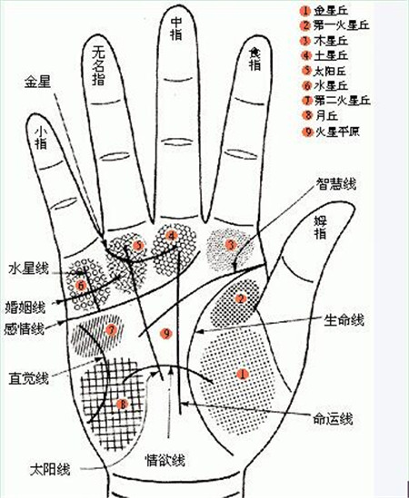 灵犀痣相课堂:警惕：滥施情感的六大手相