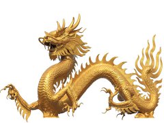 梦见龙