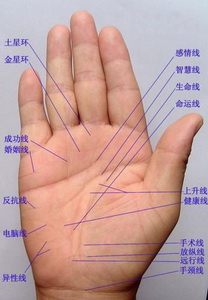 灵犀手相课堂:你可能不知道的不常见手纹