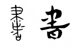 起名字典:姝字在五行中属什么?