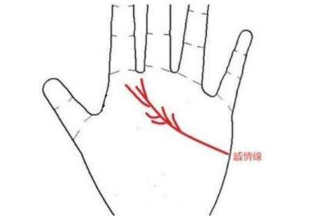 灵犀痣相课堂:哪种人的掌纹代表命不好