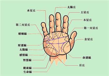 灵犀手相课堂:手相看你是充满热情的人吗？