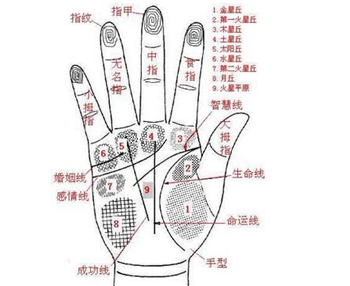 灵犀手相课堂:手相看你是否适合做投资？
