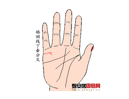 婚姻线下垂有分叉