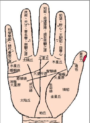 灵犀手相课堂:观手相便能知人生