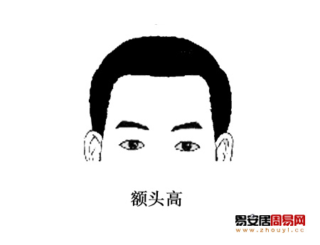 额头高