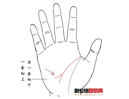 手相智慧线分叉成两条