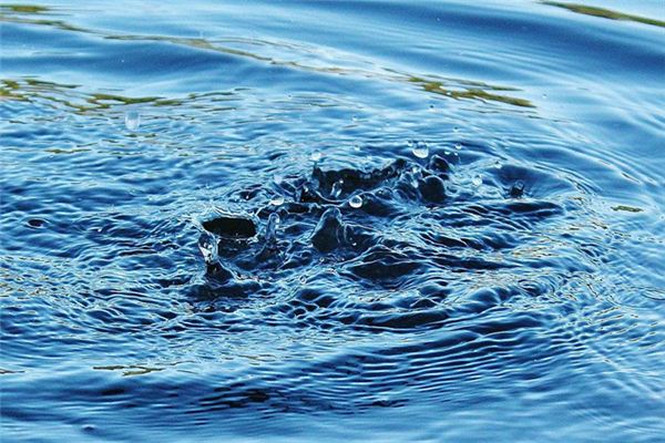 梦见海水