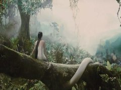 梦见大白蛇
