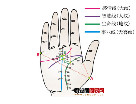 手相事业线上有岛纹算命