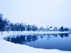 梦见梦见下雪
