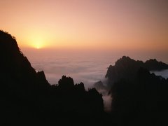 梦见杀猪