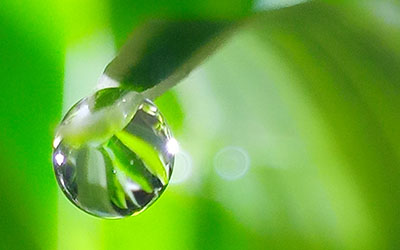 灵犀招财风水:这些征兆预示你即将发财