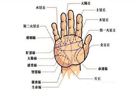 灵犀手相课堂:如何从手相看个人的财运好坏?