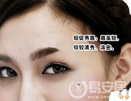 短促秀眉是怎样的