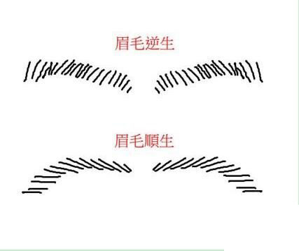 手面相分析,贵人,小人