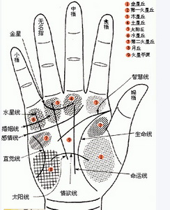 灵犀手相课堂:手相看另一半是属于哪种恋爱相