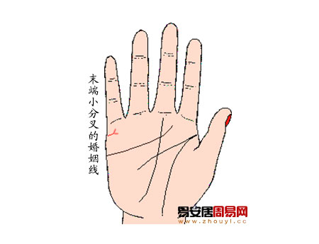 婚姻线分叉算命图解