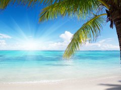 梦见大海