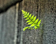 灵犀起名:如何根据成语给男宝宝取名
