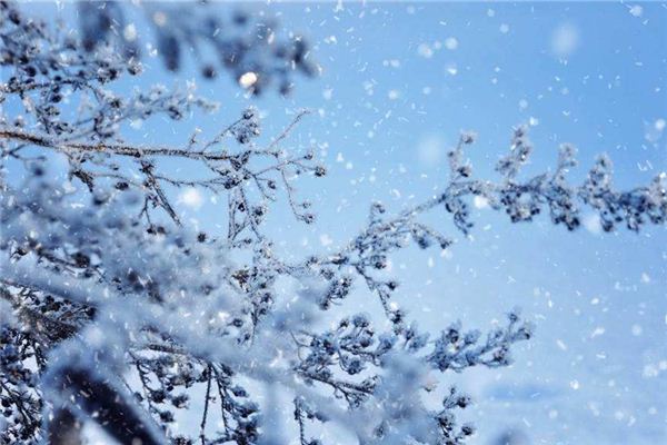 梦见下大雪