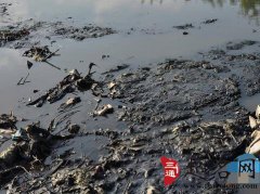 梦见污泥