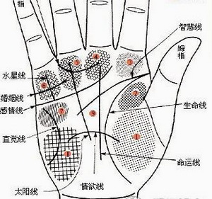 灵犀手相课堂:值得托付终身的六种手相