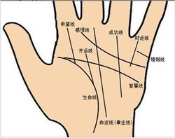 灵犀手相课堂:发横财的手纹特点介绍