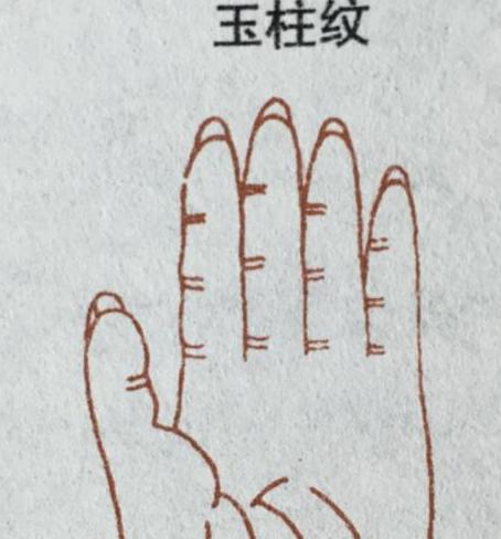 灵犀手相课堂:婚姻幸福美满的手相特征
