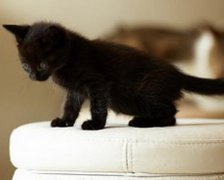 灵犀名字大全:霸气猥琐的网名有哪些——精神病院钻石会员