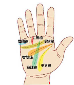 灵犀手相课堂:哪些手相的女人能嫁得好?