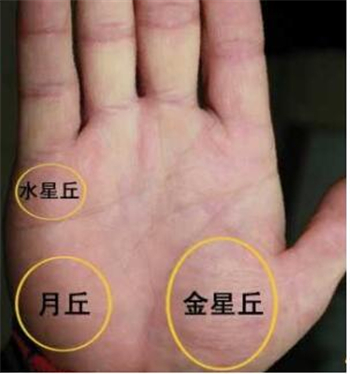 灵犀痣相课堂:桃花运旺的3种女人手相