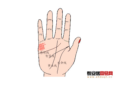 婚姻线与竖线交叉成格子形
