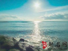梦见海洋