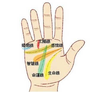 灵犀手相课堂:手相感情线看你爱情运好坏