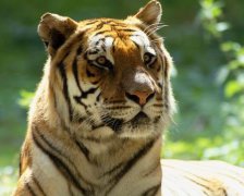 灵犀游戏名字:猥琐颓废的游戏昵称有哪些——申辩专用号5
