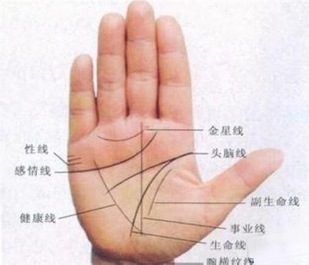 灵犀痣相课堂:有这些手相的人，迟早能发财!