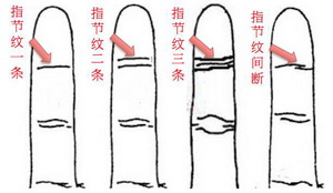 灵犀手相课堂:食指纹路看你的一生命运
