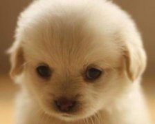灵犀名字大全:适合夏天的网名有哪些——夏有森光暖无凝